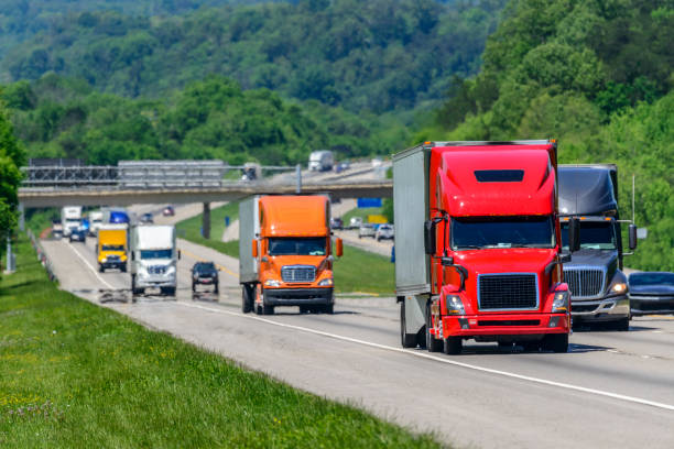Best States for Truck Drivers: Top States for Pay, Freight, & Business Success